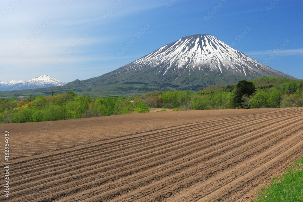 Obraz premium 春の羊蹄山麓