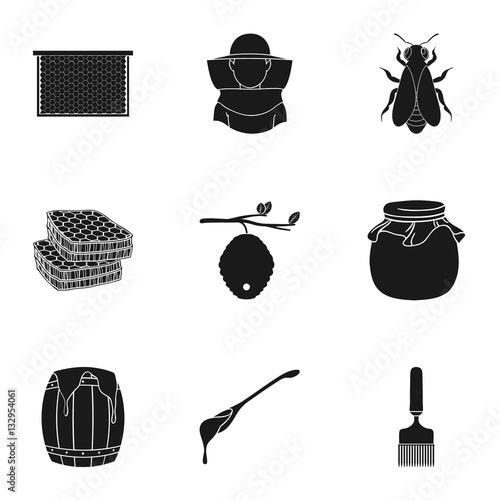 Apiary set icons in black style. Big collection of apiary vector symbol stock illustration