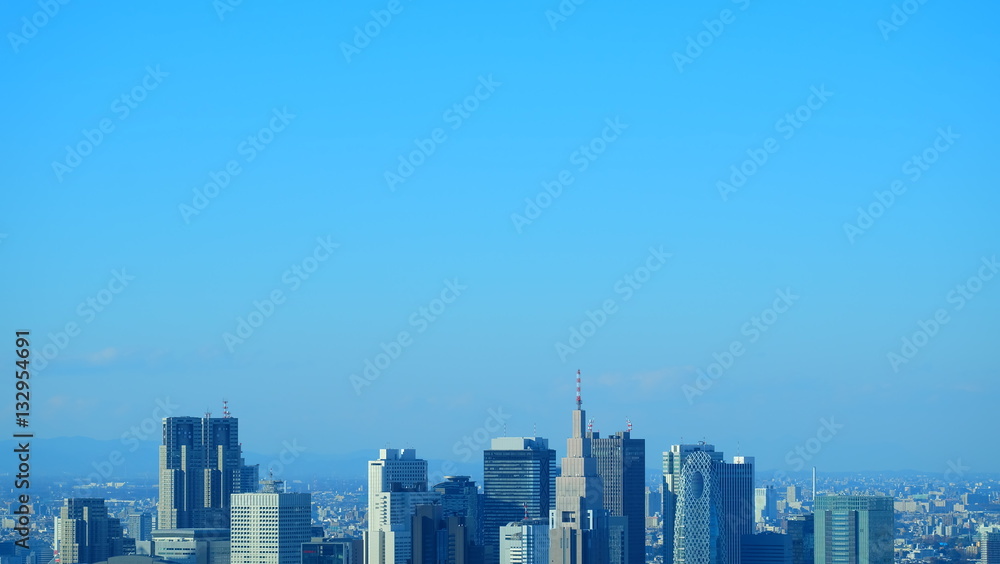 Fototapeta premium 新宿のビル群 