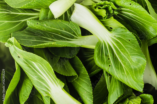 Bok Choy, fresh chinese cabbage photo