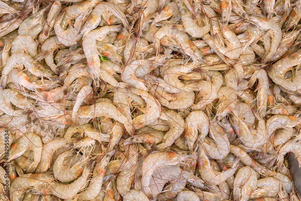 Fresh shrimp, prawn freeze with ice- Top view shellfish background. Fresh shrimp, prawn freeze with ice- Top view shellfish background.
