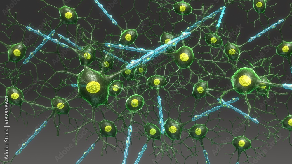 Structure of Neuron Structure of Neuron