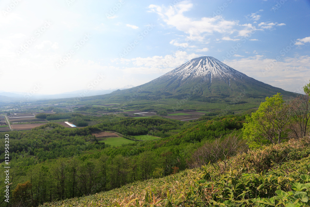 春の羊蹄山麓 春の羊蹄山麓