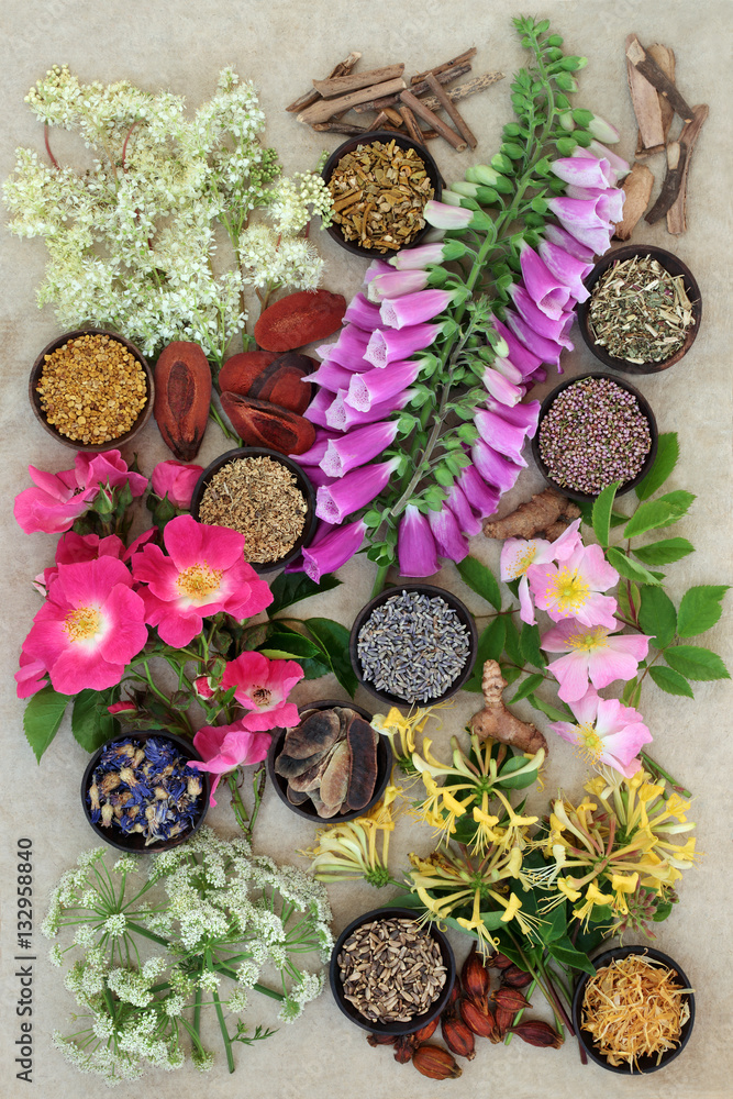 Herbs and Flowers for Health