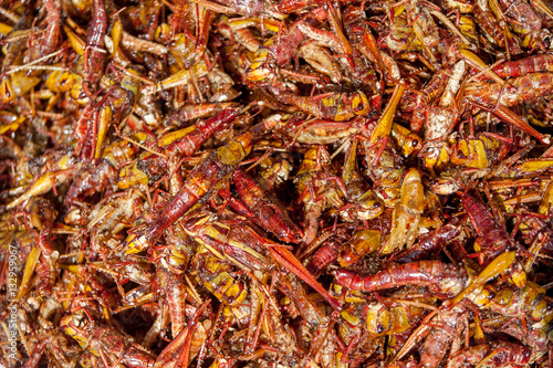 Exotic food background. Fried grasshoppers.