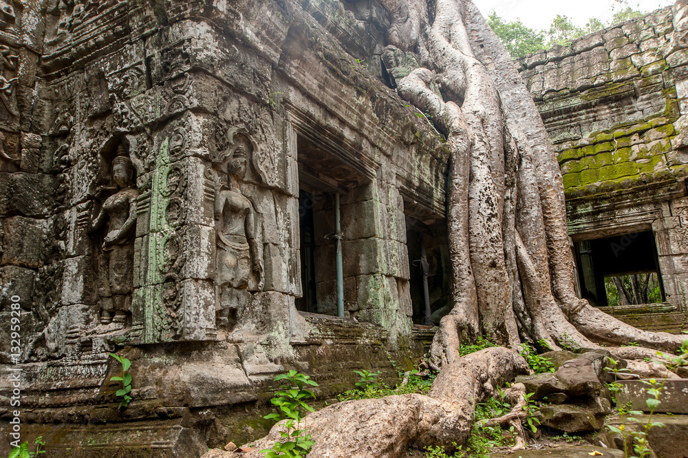 Ancient temple Ta Prohm or Rajavihara and trees growing out the