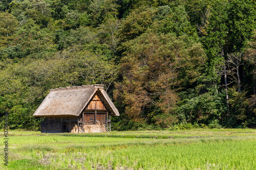 Traditional Japanese old wooden house in forest