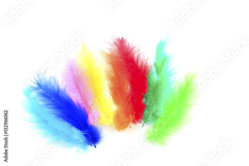 
Colorful feathers backround