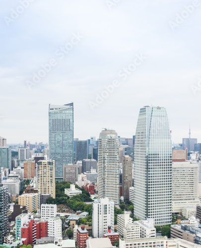 Business and culture concept - panoramic modern city skyline bird eye aerial view from tokyo tower under dramatic morning blue cloudy sky in Tokyo, Japan