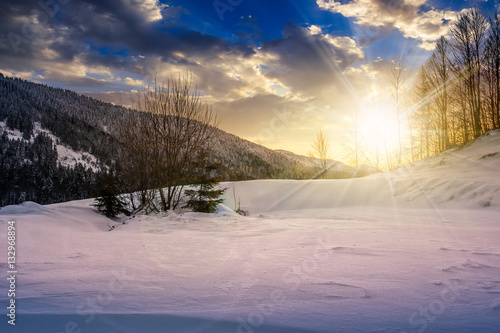 trees on snowy meadow in mountains at sunset
