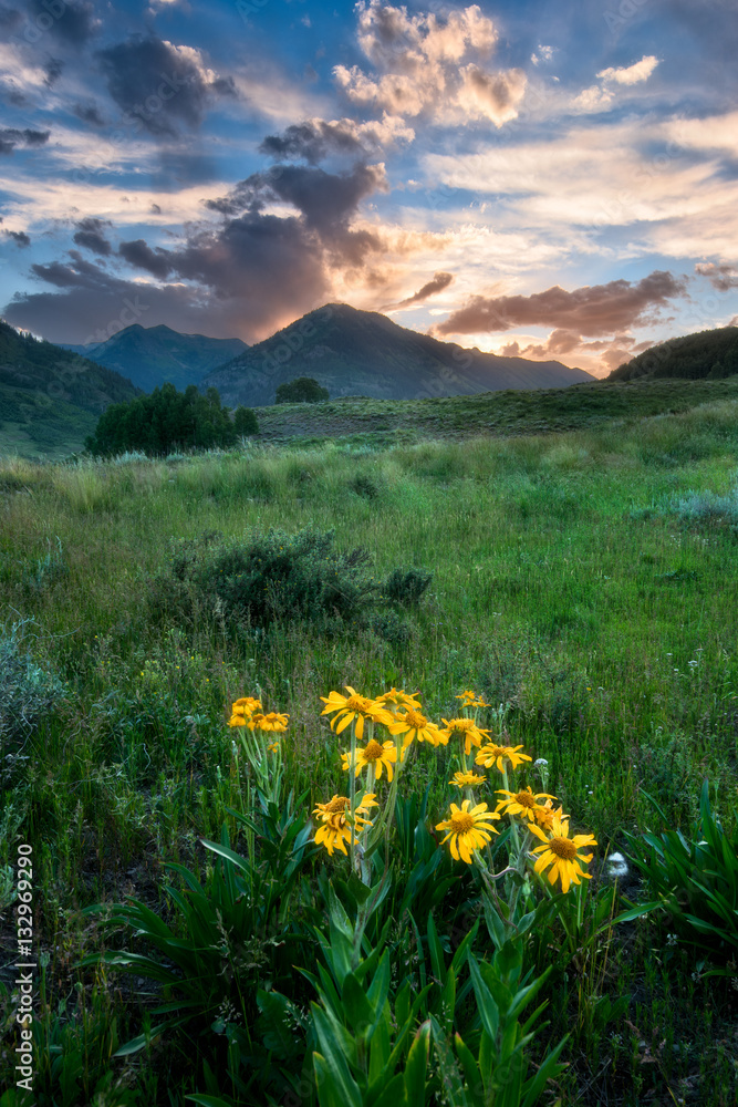 Crested Butte Crested Butte