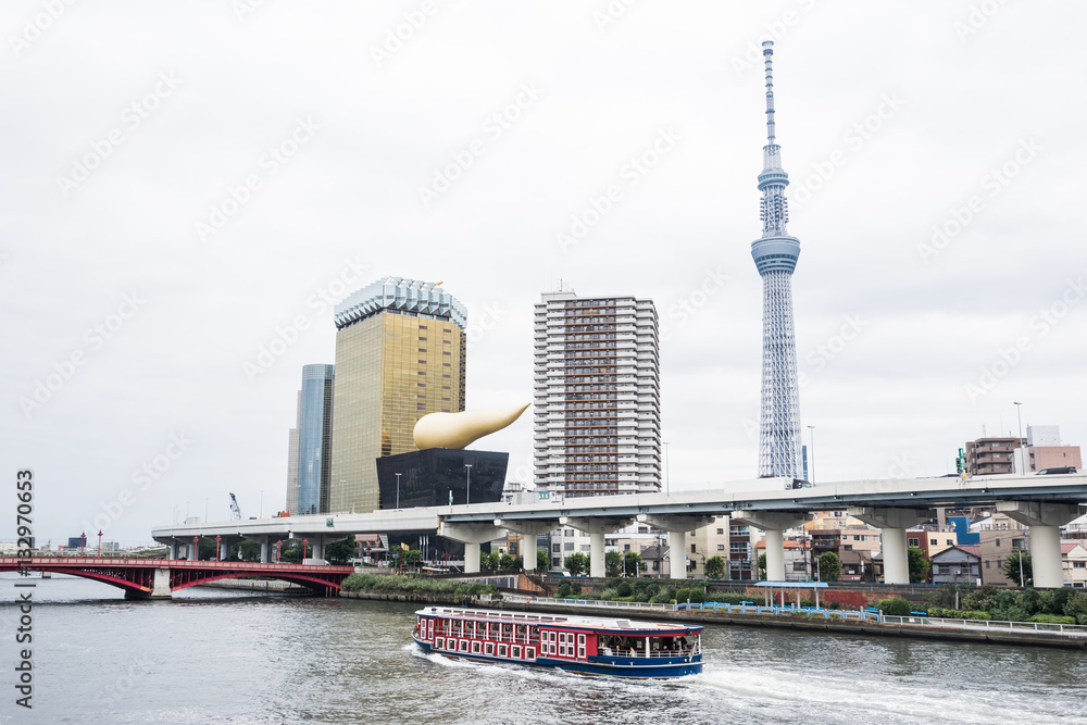 Naklejka premium Business and culture concept - panoramic modern city skyline bird eye aerial view with tokyo skytree under beautiful cloudy sky in Tokyo, Japan