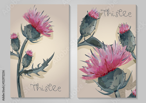 Foto vertical watercolor depicting thistles hand-drawing cards