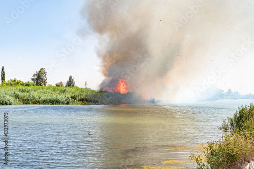 Wildfire burning in reeds next to the Riet River photo