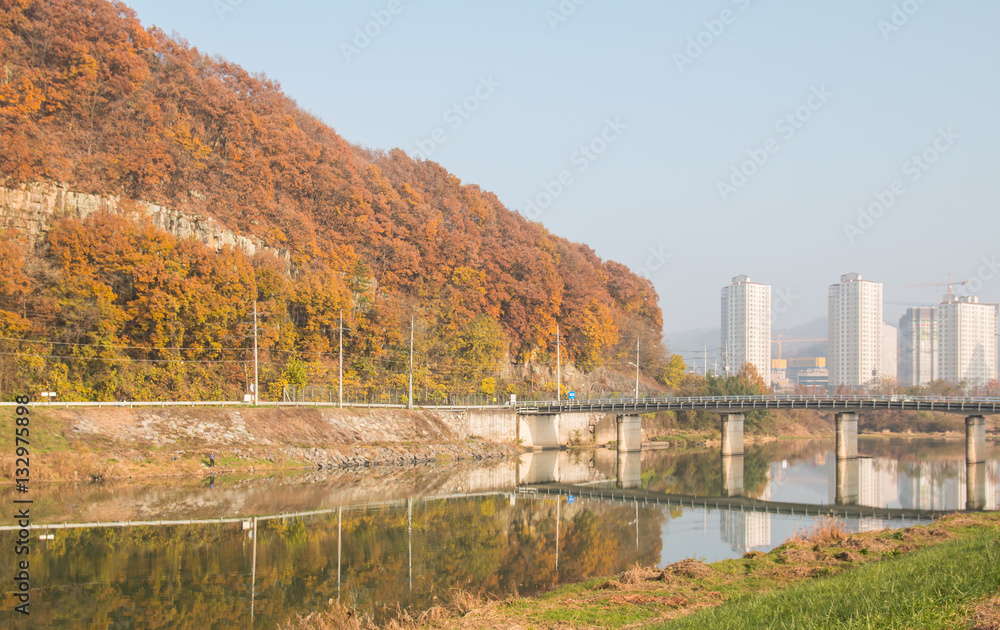 맑은 하천과 아름다운 단풍이 있는 도시 외곽의 가을 풍경 Stock 사진 | Adobe Stock