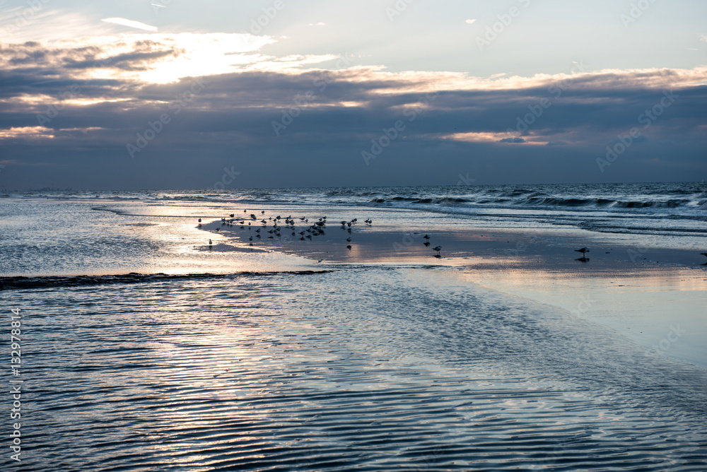 Obraz premium Sonnenuntergang mit Spiegelung am Strand von Koksijde, Belgien