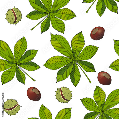 Aesculus. Buckeye. Horse chestnut. Chestnut. Medical plant.