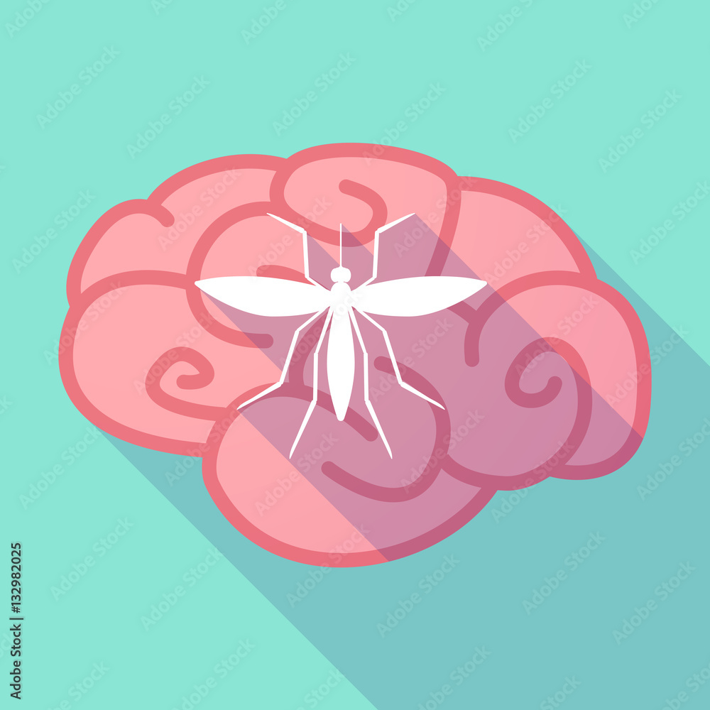 Fototapeta premium Long shadow brain with a mosquito