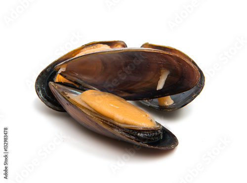 group of boiled mussels in shells