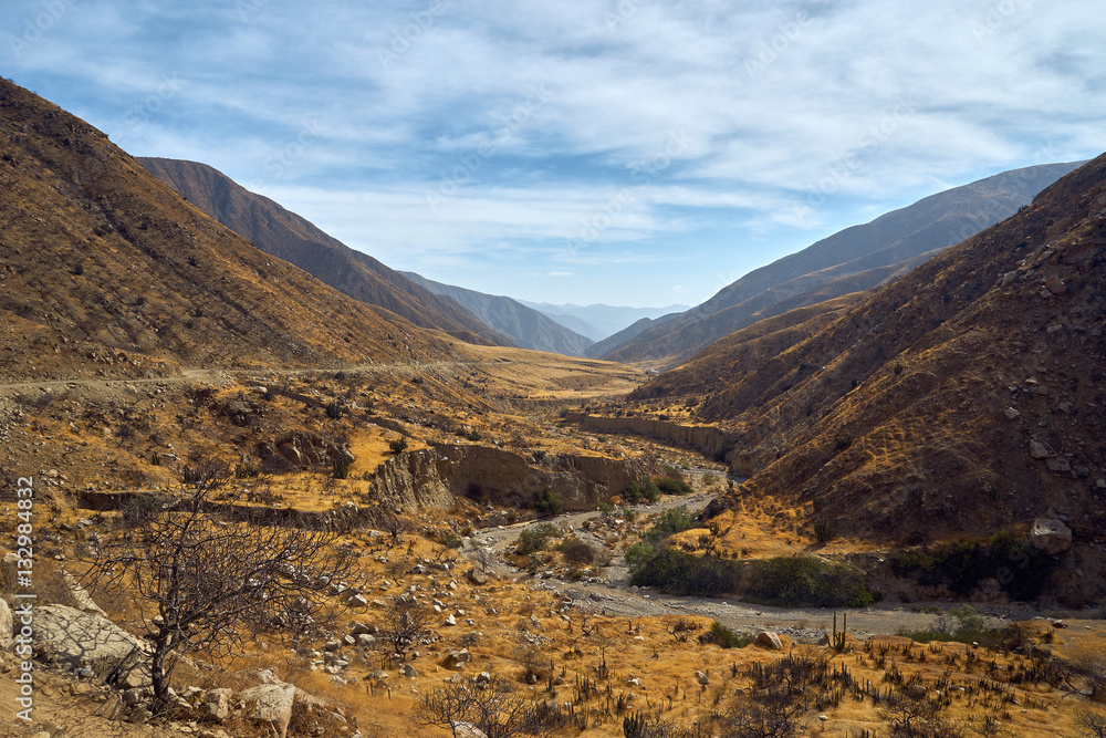 Obraz premium drought