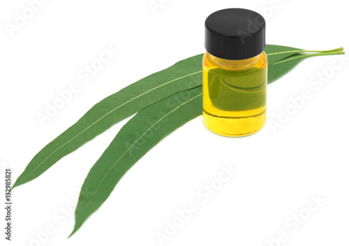 Eucalyptus Oil with leaves