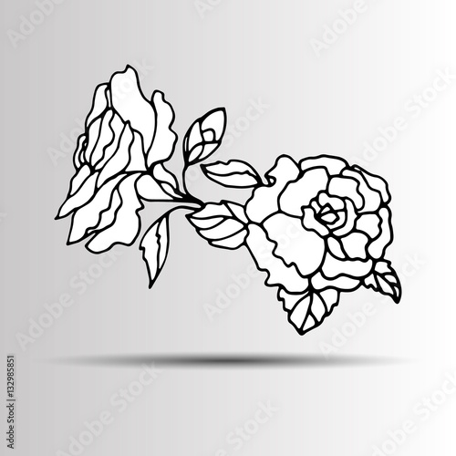 floral flower rose spring summer background botanical