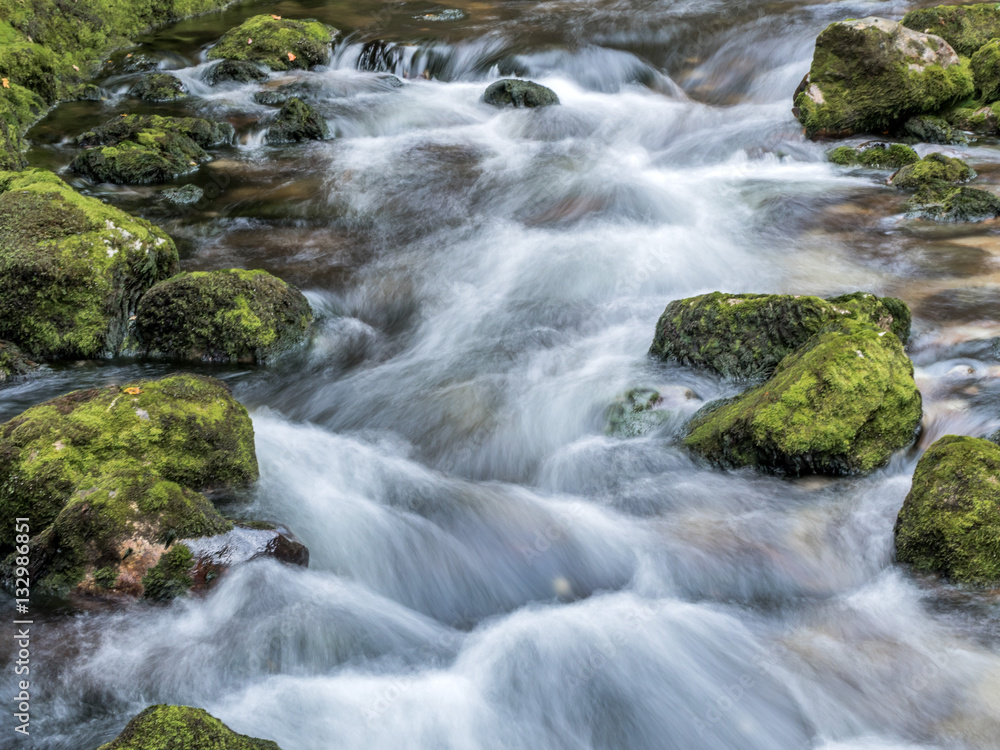 Bach mit fliessendem, klarem Wasser