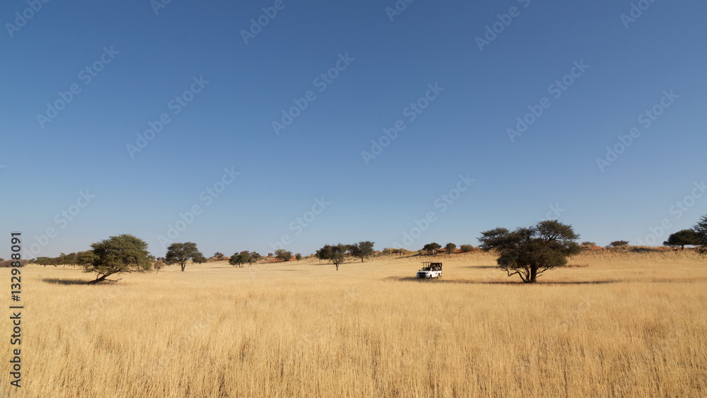 Safari with cross-country vehicle in Kalahari desert, Namibia
