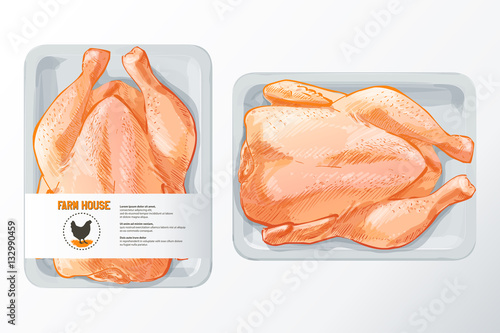 chicken meat vector