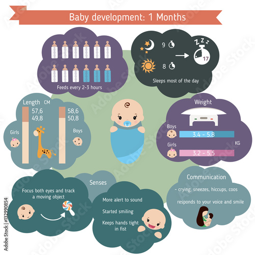 ?hild development infographics