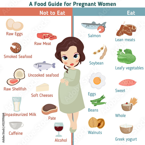 Pregnant woman infographic