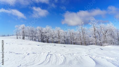 Winter Meadow Bearwallow Mountain, Appalachian Mountains, North Carolina 