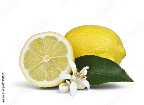 Lemon and half on white background photo