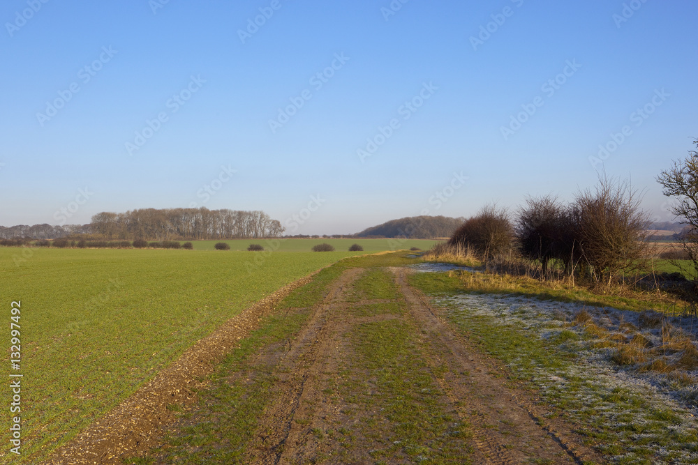 bridleway and agricultural scenery