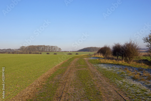 bridleway and agricultural scenery