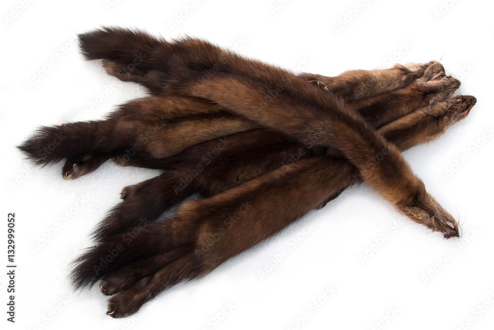Four luxurious Russian sable fur skins laid out on white background Four luxurious Russian sable fur skins laid out on white background