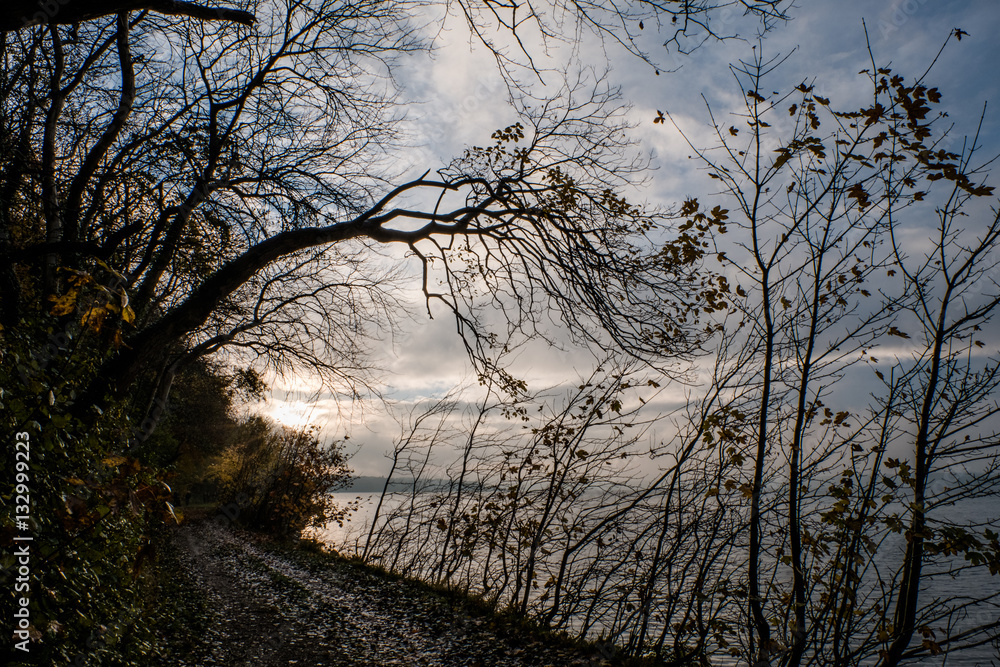 Weg an der Ostsee im Herbst, bei Sonnenuntergang, für Trauerkarte Weg an der Ostsee im Herbst, bei Sonnenuntergang, für Trauerkarte