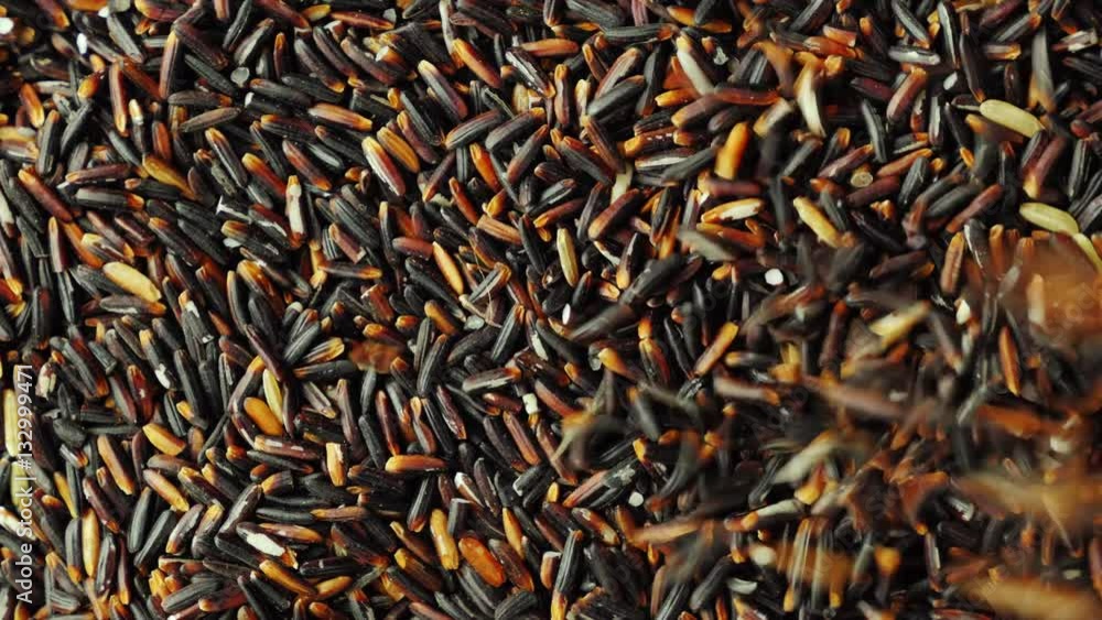 A trickle of black rice grains falling down. The rotating surface with rice A trickle of black rice grains falling down. The rotating surface with rice