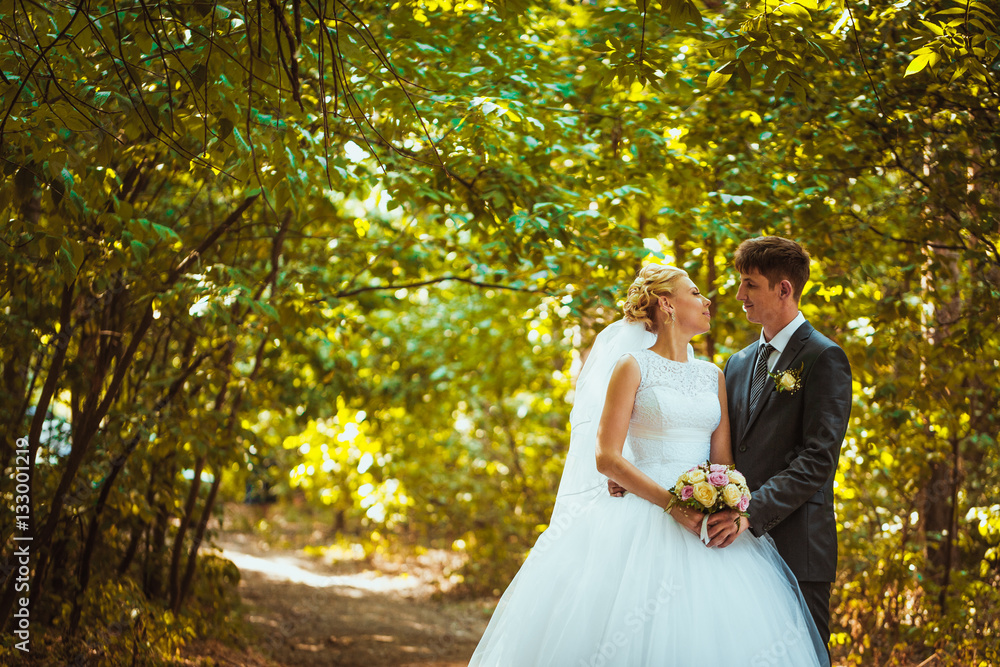 bride and groom on the forest background bride and groom on the forest background