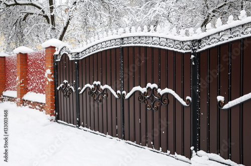 Forged iron gate covered with snow