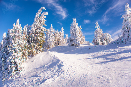 Mountain ski resort, Romania,Transylvania, Brasov, Poiana Brasov © pelinoleg