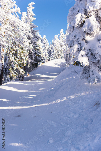 Mountain ski resort, Romania,Transylvania, Brasov, Poiana Brasov © pelinoleg