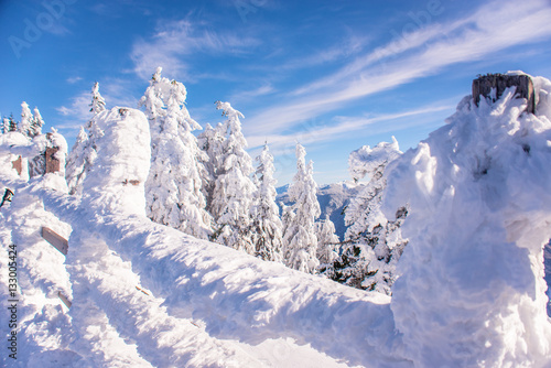 Wallpaper Mural Snowy wooden fence in the mountains Torontodigital.ca