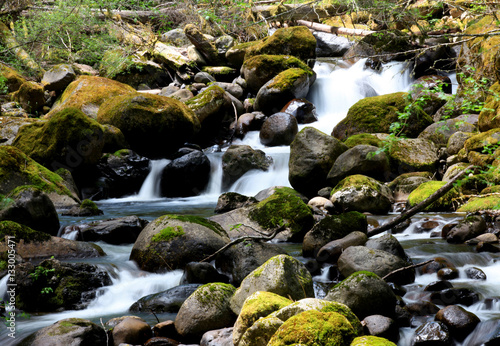 Fototapeta Naklejka Na Ścianę i Meble -  Small water falls in Mount Rainier national park