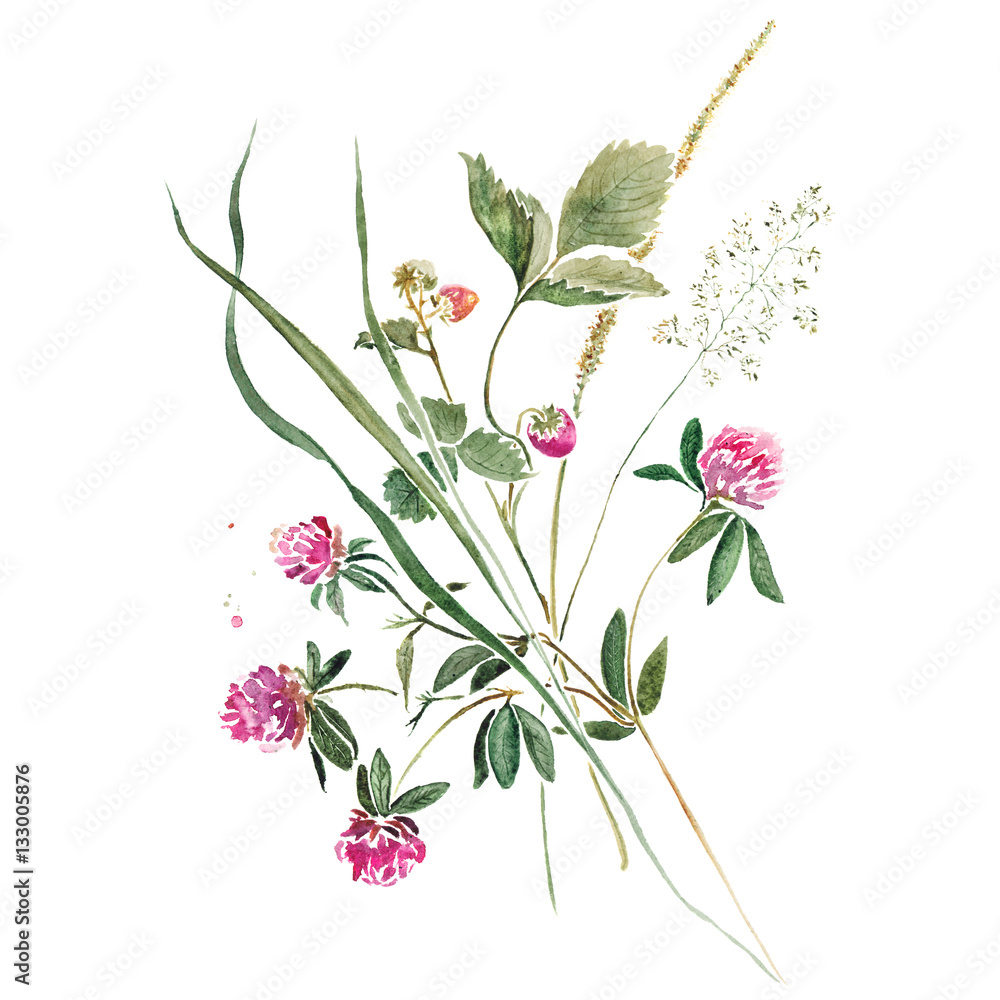 Delicate bouquet of herbs with greens, flowers of clover and wild strawberry. Original isolated on white watercolor painting.