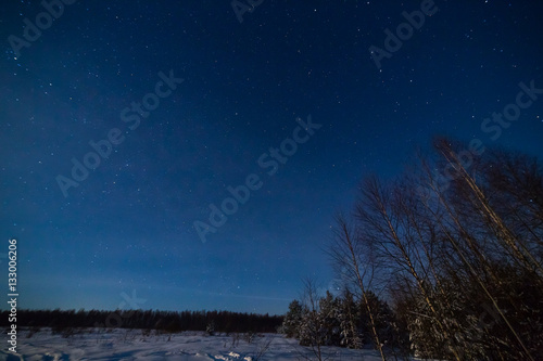 Winter night landscape with woods under starry sky