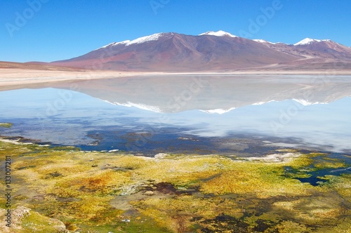 Wonderful Landscape in the Andes of Bolivia