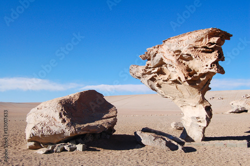 Rock Formation Árbol de Piedra in the Andes of Bolivia photo