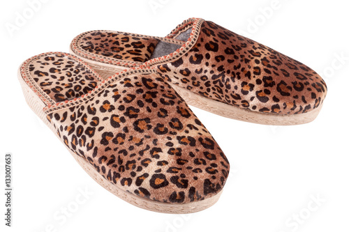 Wallpaper Mural female domestic leopard slippers isolated on white background Torontodigital.ca