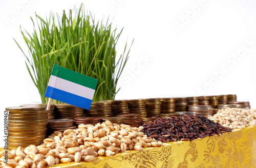 Sierra Leone flag waving with stack of money coins and piles of wheat